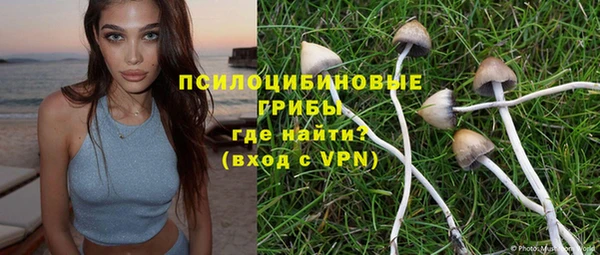 MDMA Верхний Тагил