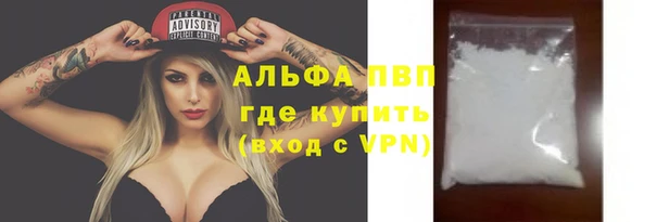 эйфоретик Бородино