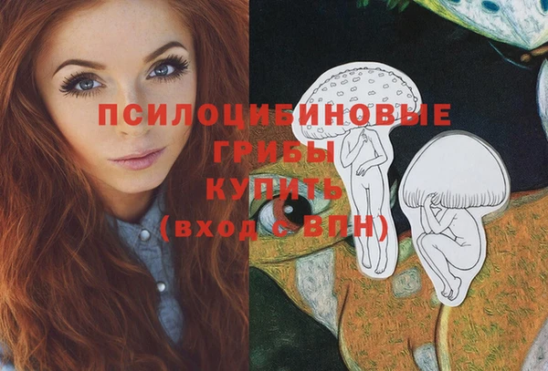 стаф Бронницы