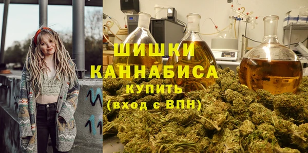 эйфоретик Бородино