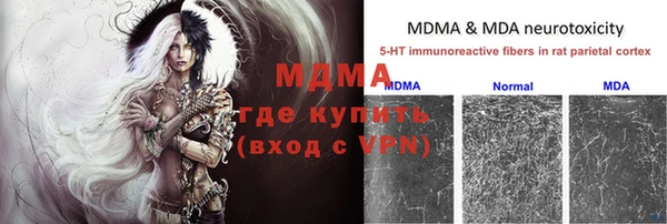 эйфоретик Бородино