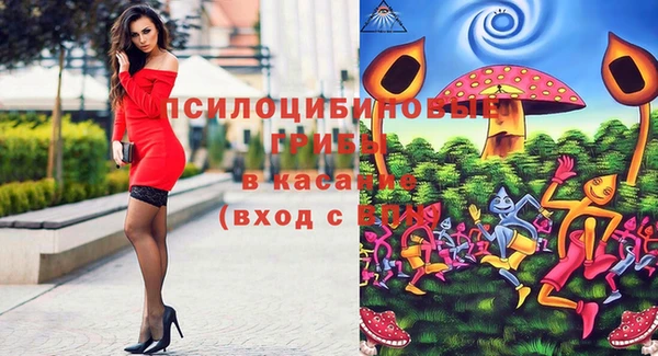 стаф Бронницы